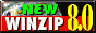 WinZip 8.0